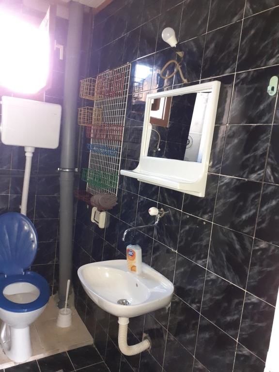 Апартаменты Studio-apartman Milena 2 Подгорица-21