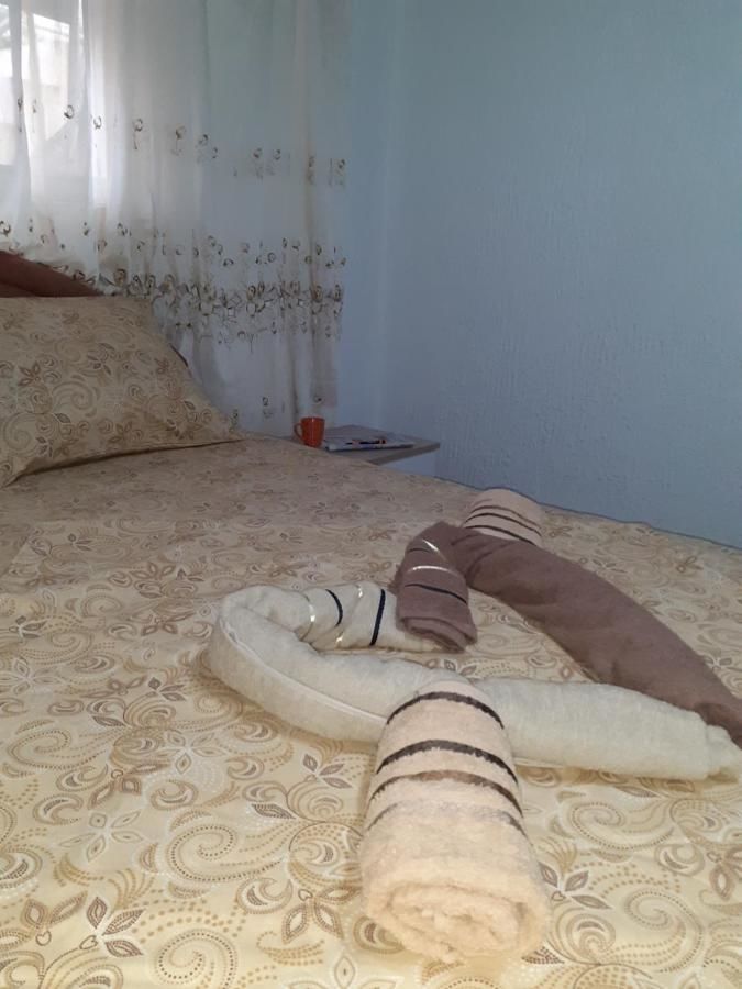 Апартаменты Studio-apartman Milena 2 Подгорица-8