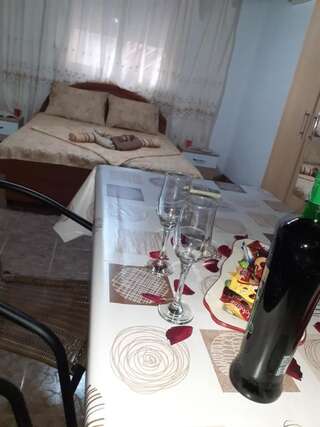 Апартаменты Studio-apartman Milena 2 Подгорица Апартаменты с 1 спальней-11