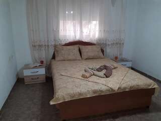 Апартаменты Studio-apartman Milena 2 Подгорица Апартаменты с 1 спальней-4