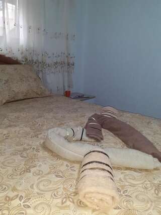 Апартаменты Studio-apartman Milena 2 Подгорица Апартаменты с 1 спальней-5